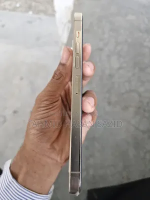 অ্যাপল আইফোন ১৩ প্রো ম্যাক্স ১২৮ জিবি গোল্ড