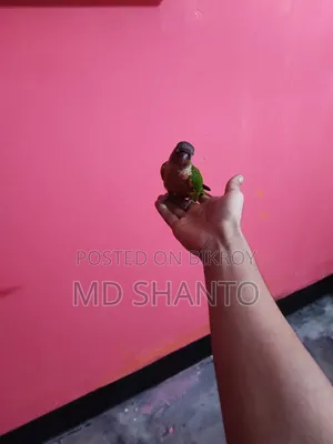 সান কুনুউর