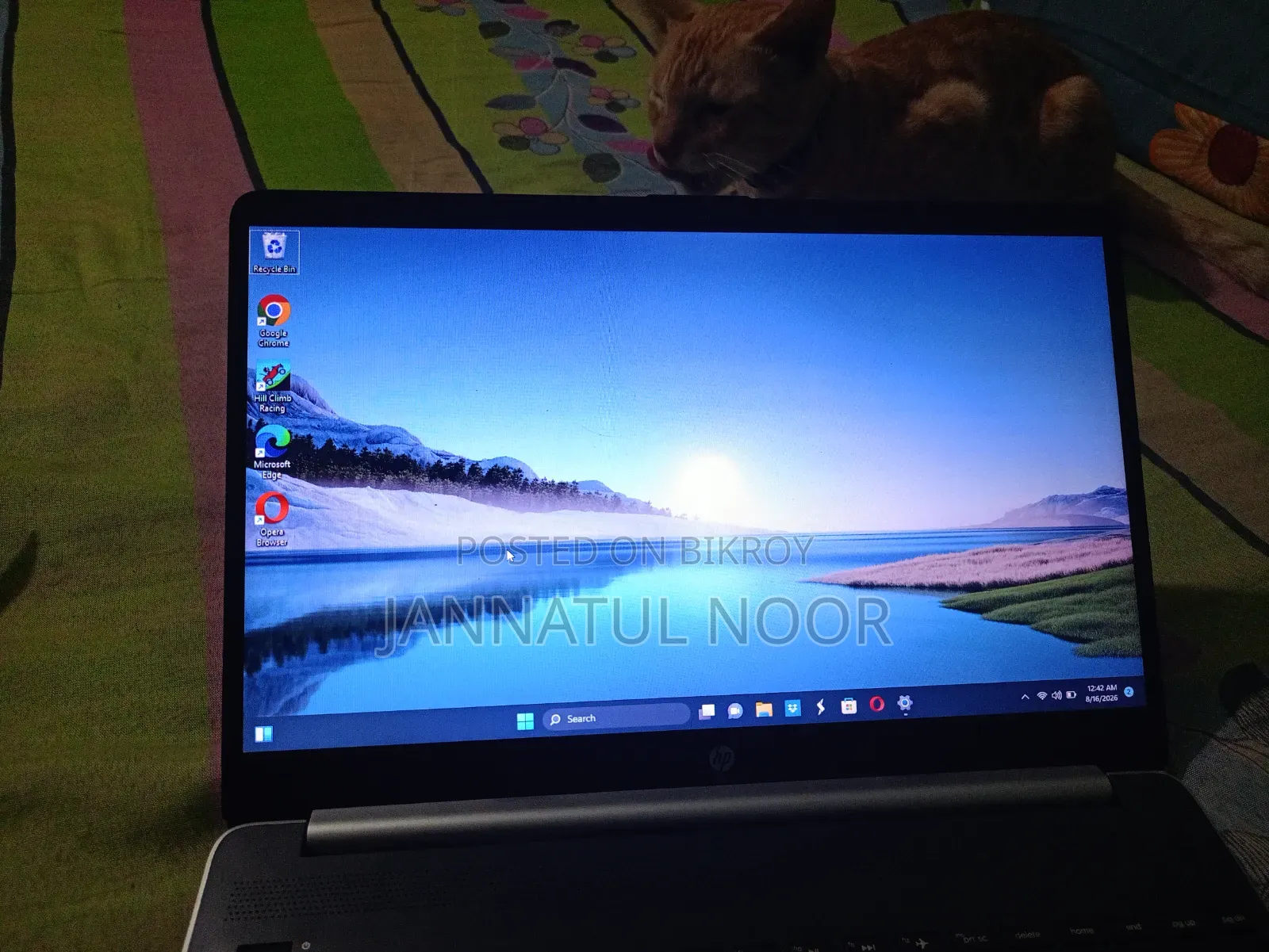 Laptop HP 15-dy1031wm 8GB Intel Core i5 SSD 256GB