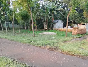 9.5 Decimal Land for Sale Near Jamalpur Bypass Road