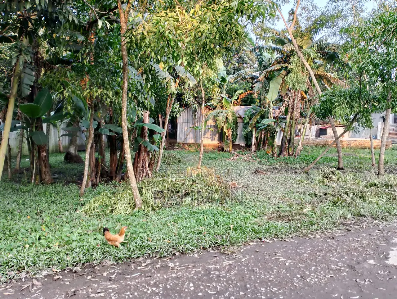 9.5 Decimal Land for Sale Near Jamalpur Bypass Road