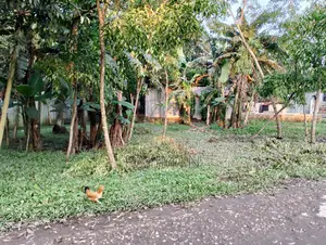9.5 Decimal Land for Sale Near Jamalpur Bypass Road