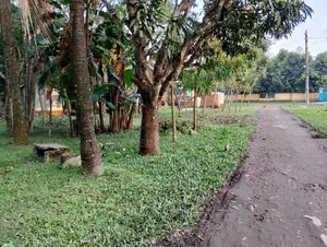 9.5 Decimal Land for Sale Near Jamalpur Bypass Road