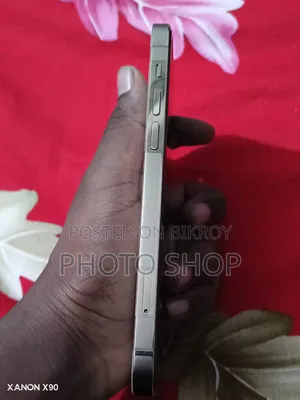 অ্যাপল আইফোন ১২ প্রো ২৫৬ জিবি রোস গোল্ড