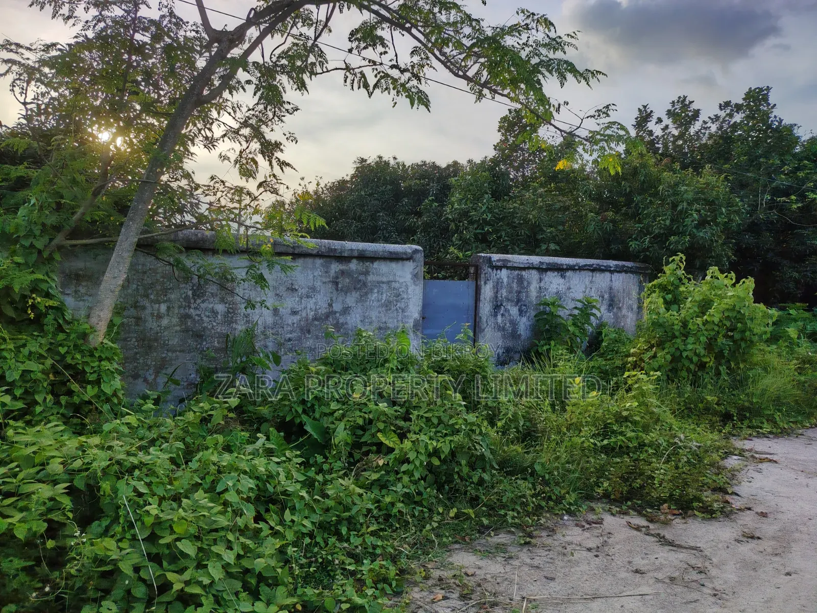 3 Katha Plot Facing South on a Low Budget Near Iconic Tower in Sector 23