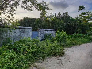 3 Katha Plot Facing South on a Low Budget Near Iconic Tower in Sector 23