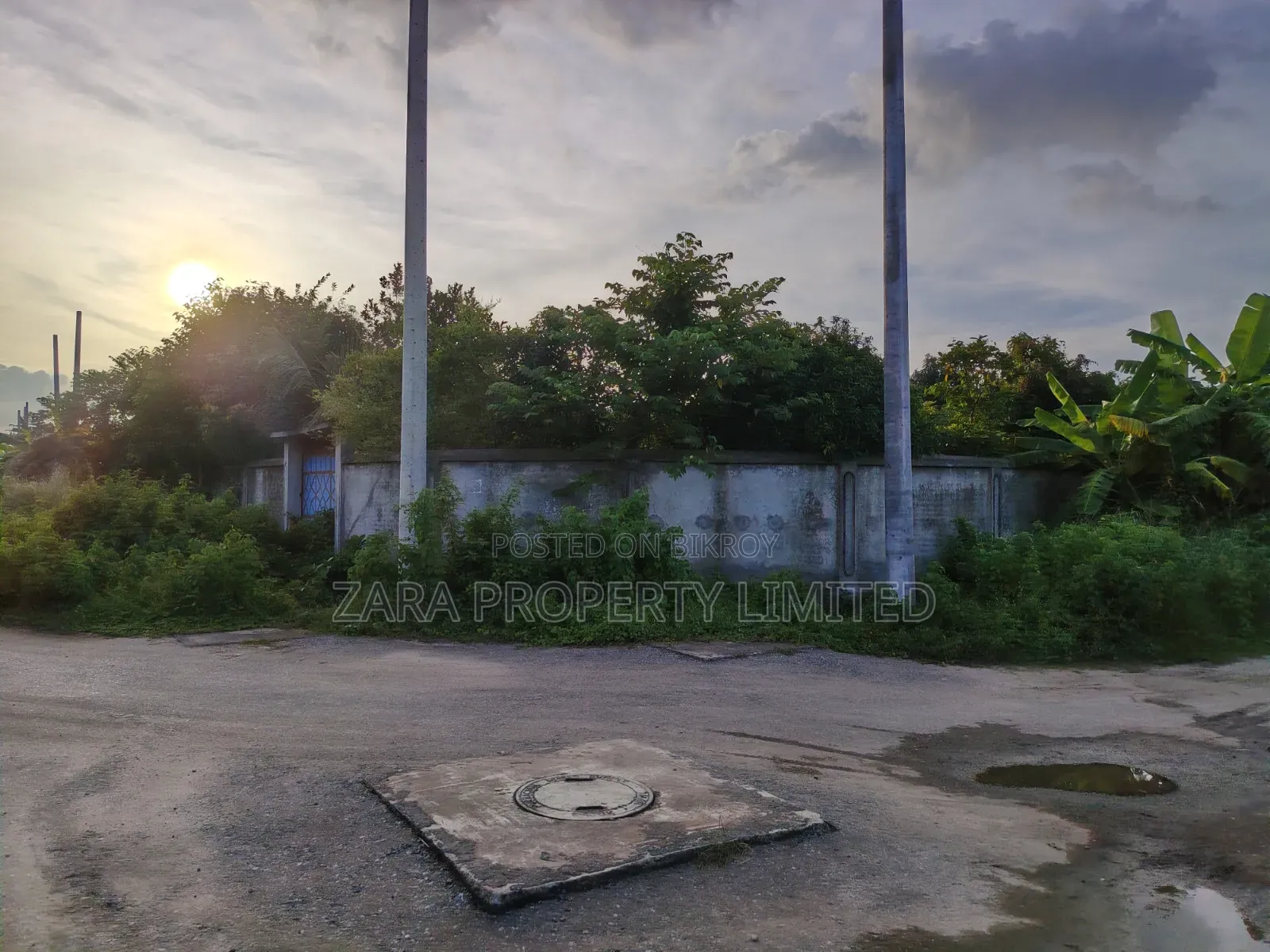 South-facing 10 katha plot for sale in front of the forest.