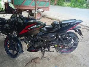 Bajaj Pulsar 150 2023 Black