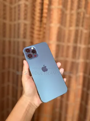 অ্যাপল আইফোন ১২ প্রো ম্যাক্স ২৫৬ জিবি নীল