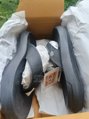 Brand New Fresh Shoes