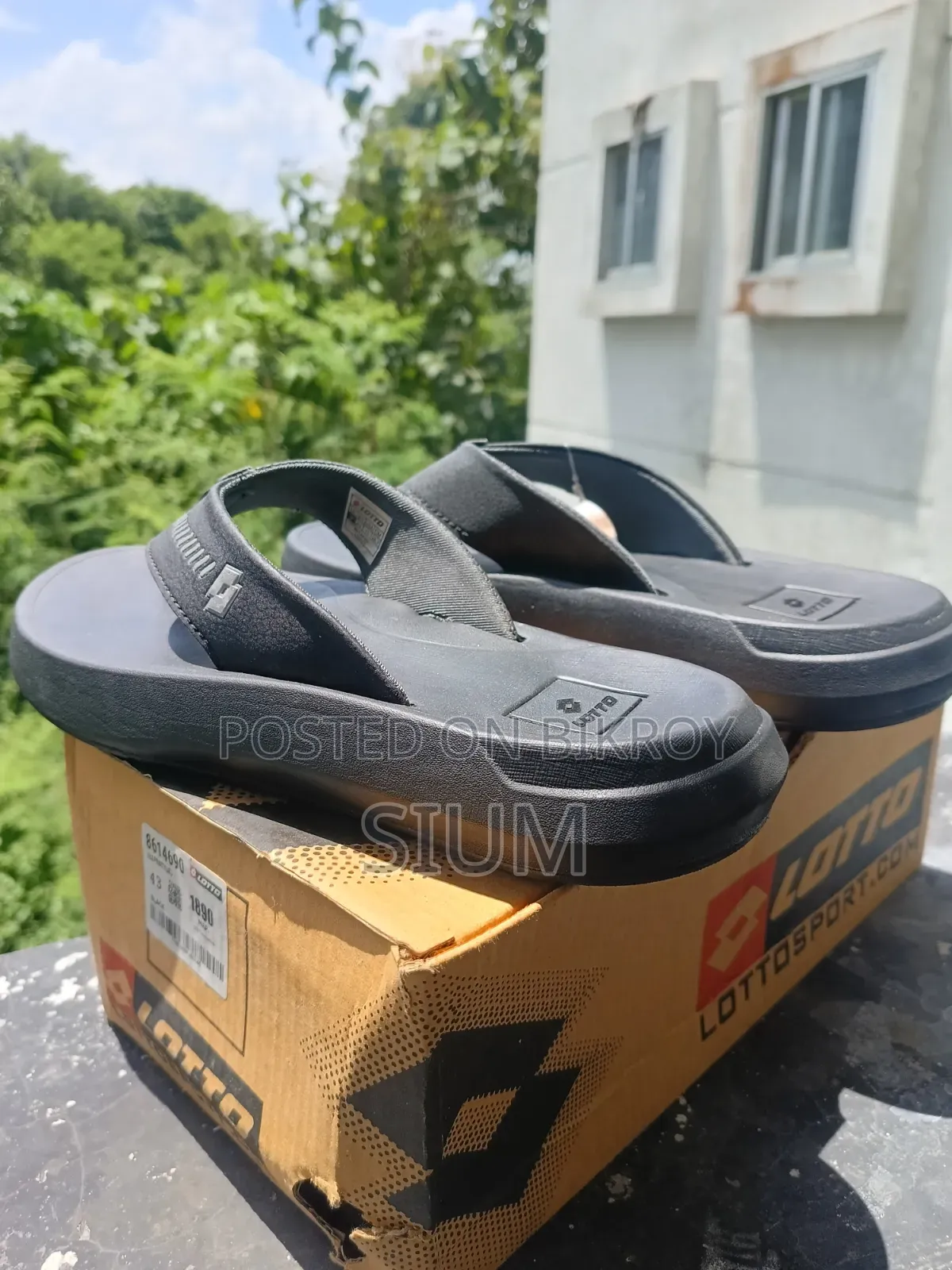 Brand New Fresh Shoes