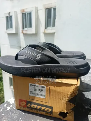 Brand New Fresh Shoes