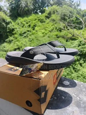 Brand New Fresh Shoes