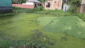 5 katha land beside the road near Dhaka