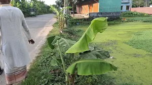 5 katha land beside the road near Dhaka