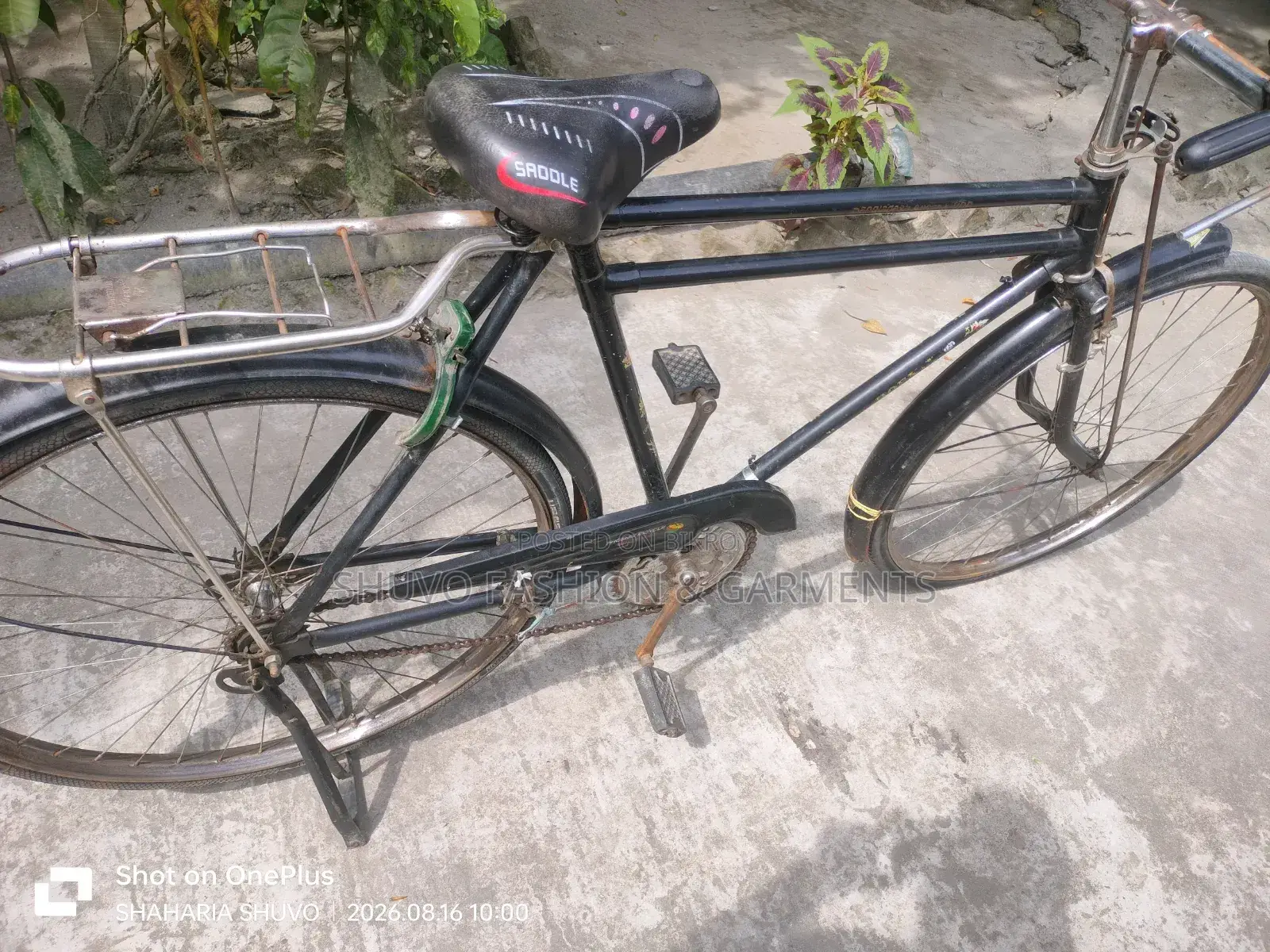 Phoenix Cycle