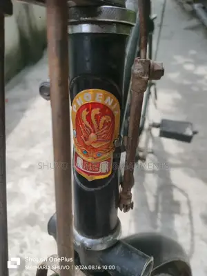 Phoenix Cycle
