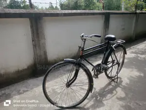 Phoenix Cycle