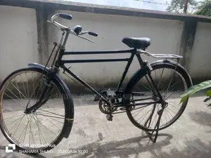 Phoenix Cycle
