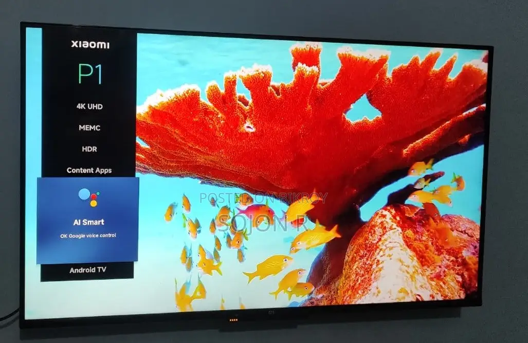 Xiaomi Smart TV
