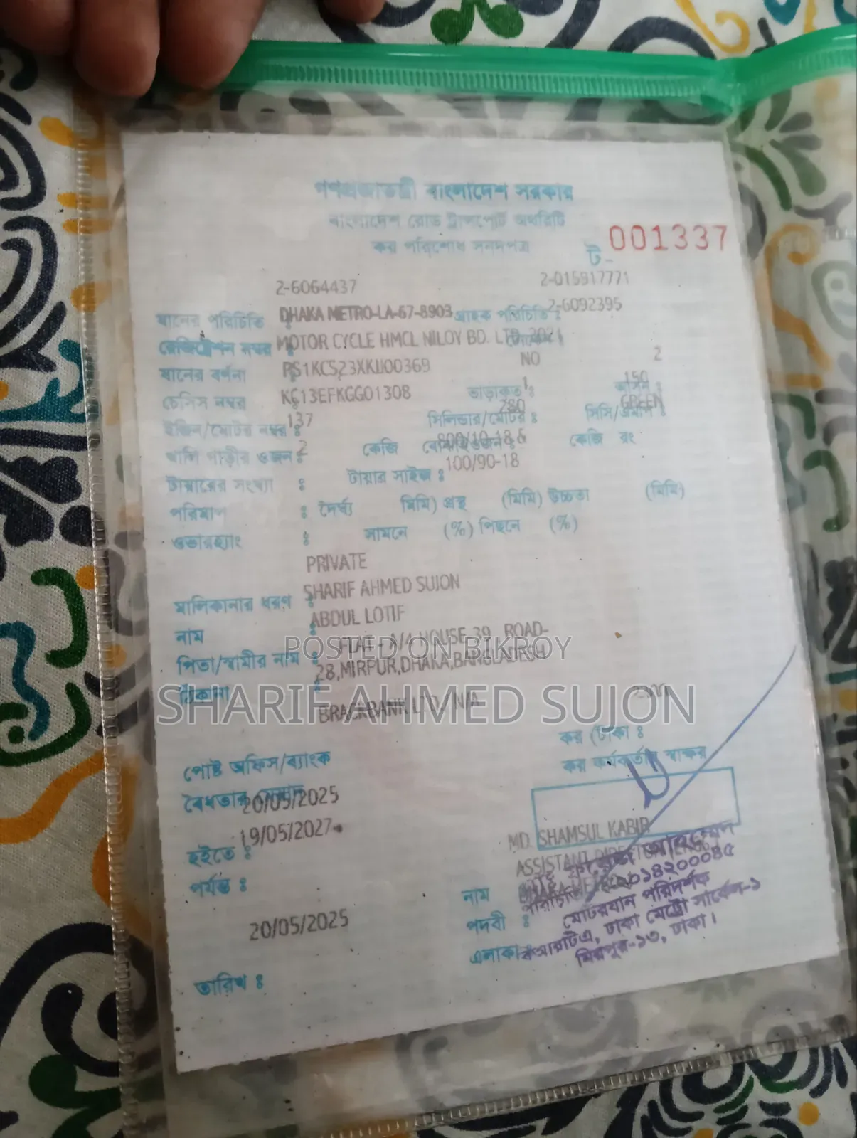 হিরো হাঙ্ক ২০২১ সবুজ