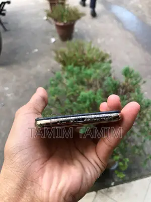অ্যাপল আইফোন এক্সএস ২৫৬ জিবি গোল্ড