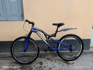 সাইকেল ফোনিক্স