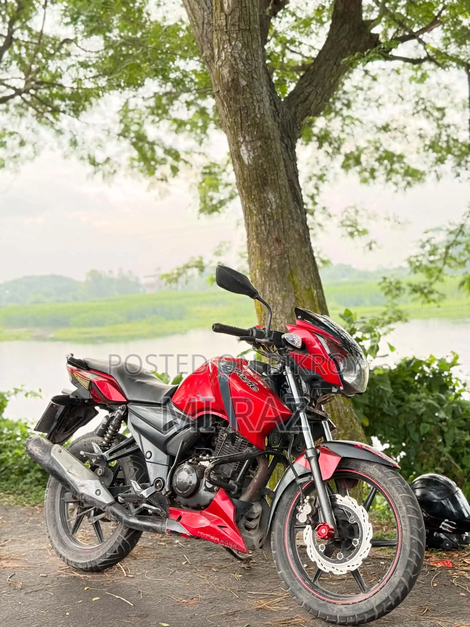 TVS 2013 Red