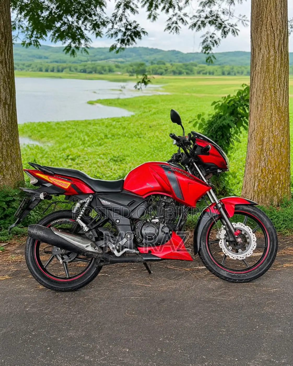 TVS 2013 Red