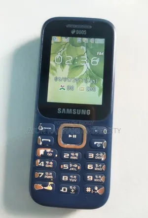 Samsung Guru Music 2 Blue