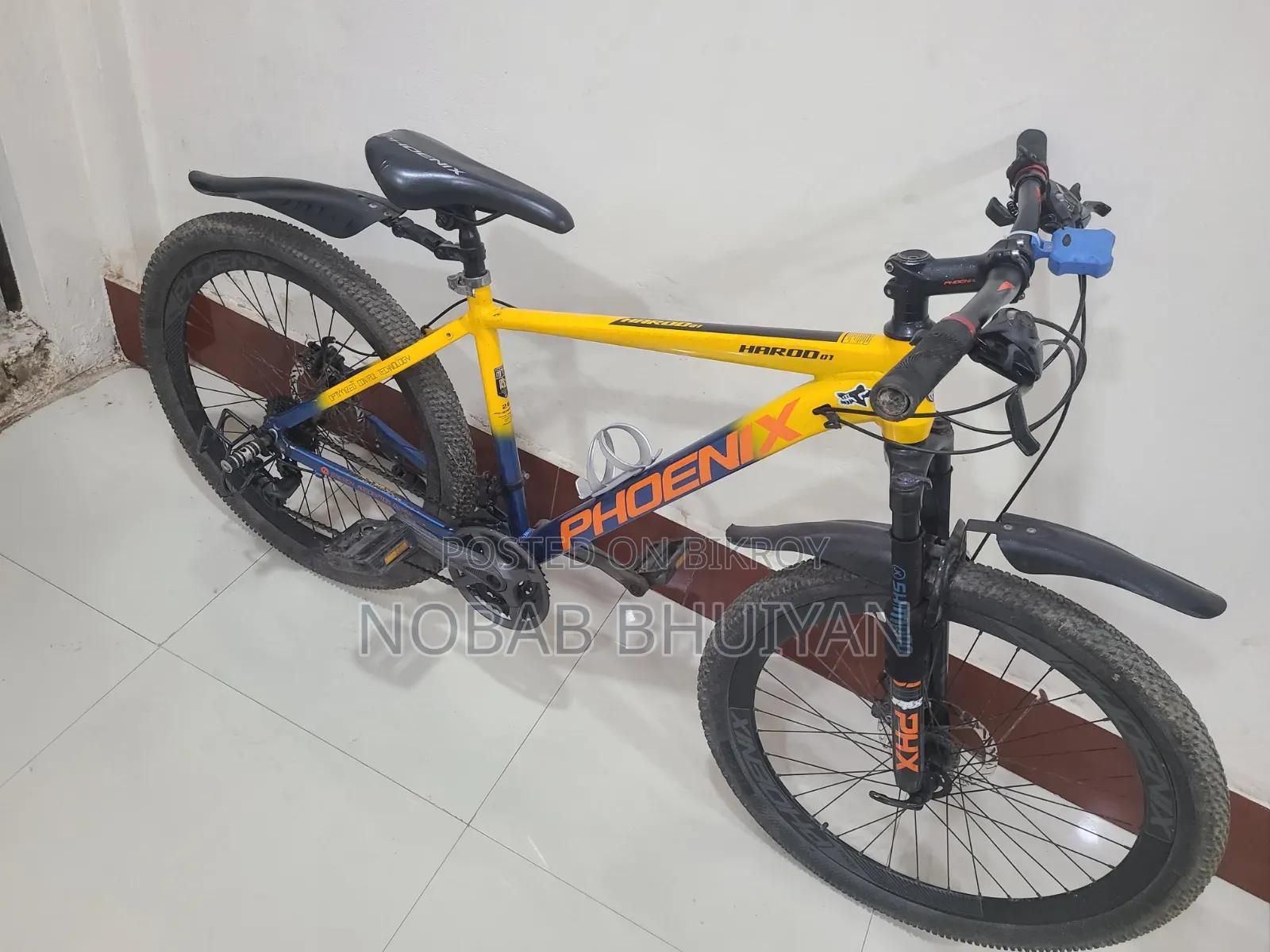 ফিনিক্স হারুড ০১