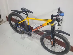 ফিনিক্স হারুড ০১