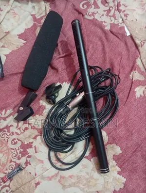 Microphone