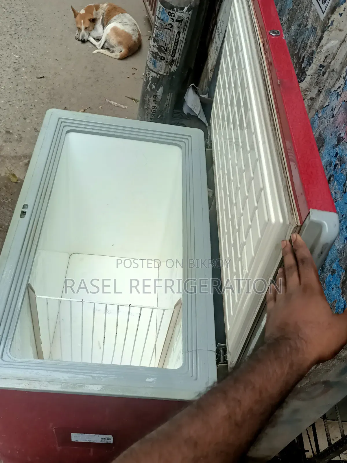 240 Liters Running Walton Company Deep Fridge for Sale.