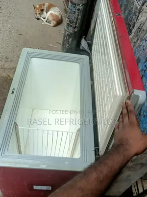 240 Liters Running Walton Company Deep Fridge for Sale.