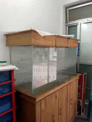 Big Aquarium