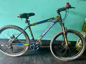 সাইকেল ফোনিক্স