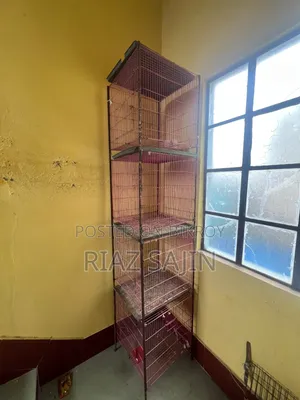 Birds Cage
