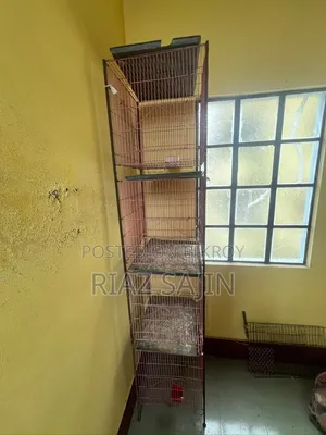 Birds Cage