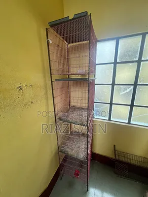 Birds Cage
