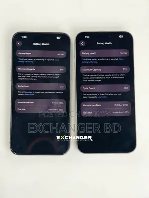 অ্যাপল আইফোন ১৫ প্রো ম্যাক্স ২৫৬ জিবি গ্রে