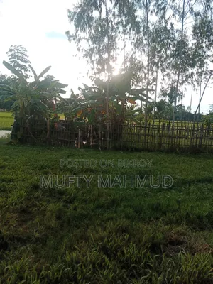 4 decimal land for sale. Number/Baharkachna.