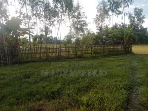 4 decimal land for sale. Number/Baharkachna.