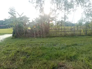 4 decimal land for sale. Number/Baharkachna.