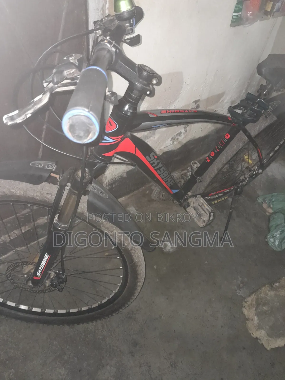 Cycle Skybike Brand