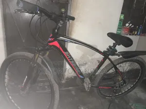 Cycle Skybike Brand