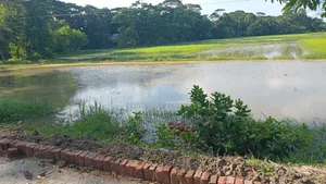 ১৪ শতক জমি বিক্রি পটুয়াখালী