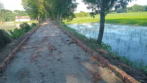 ১৪ শতক জমি বিক্রি পটুয়াখালী
