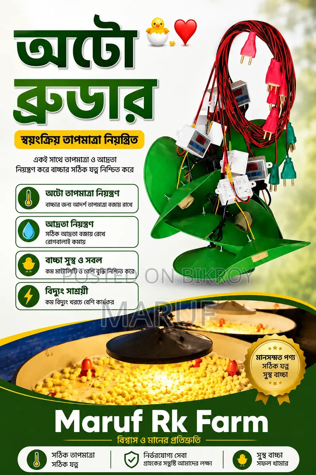 ৫০-৬০ বাচ্চার অটো ব্রুডার | মারুফ আরকে ফার্ম