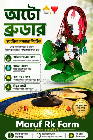 ৫০-৬০ বাচ্চার অটো ব্রুডার | মারুফ আরকে ফার্ম